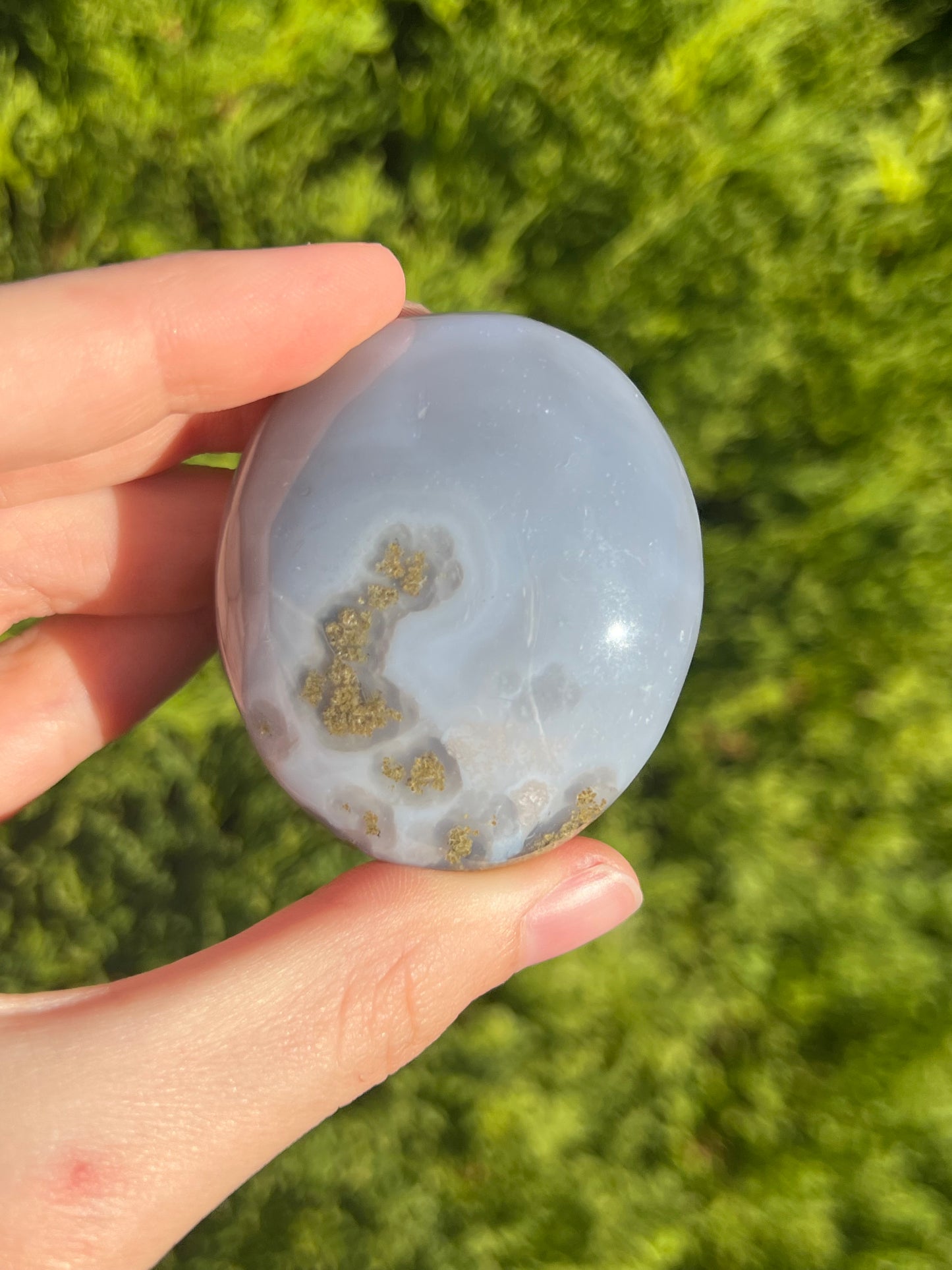 Agate Palm Stone with little bit of moss