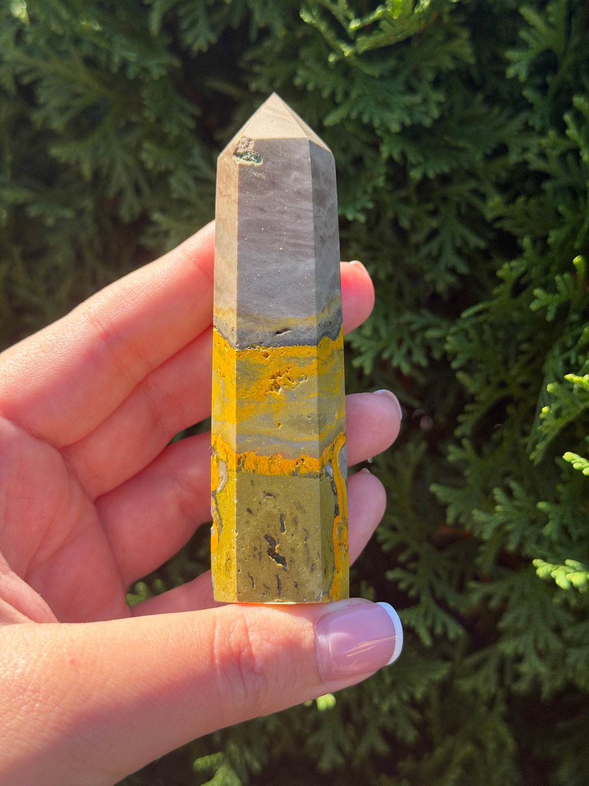Bumblebee Jasper Point #1