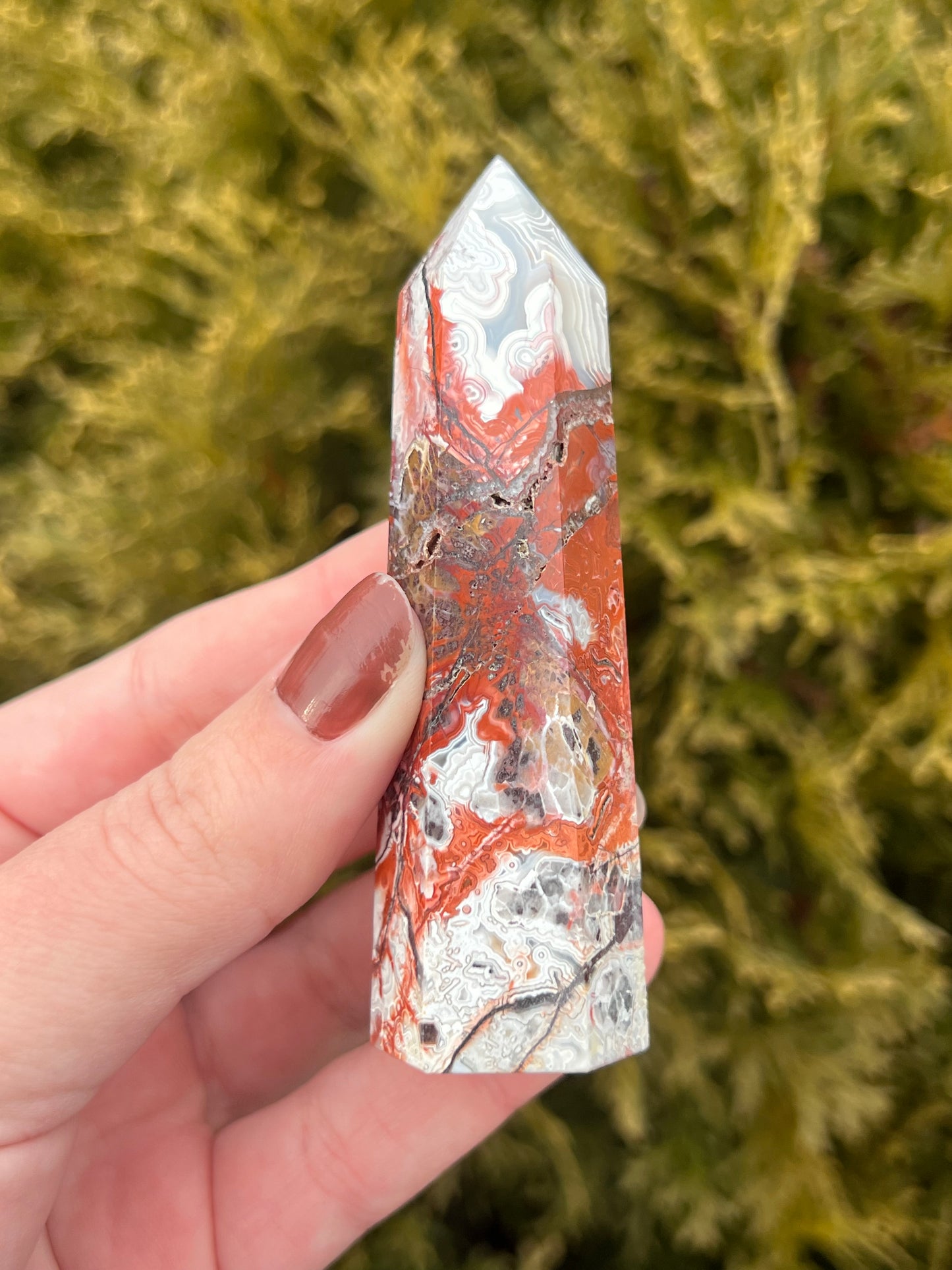 Mexico Lace Agate Point