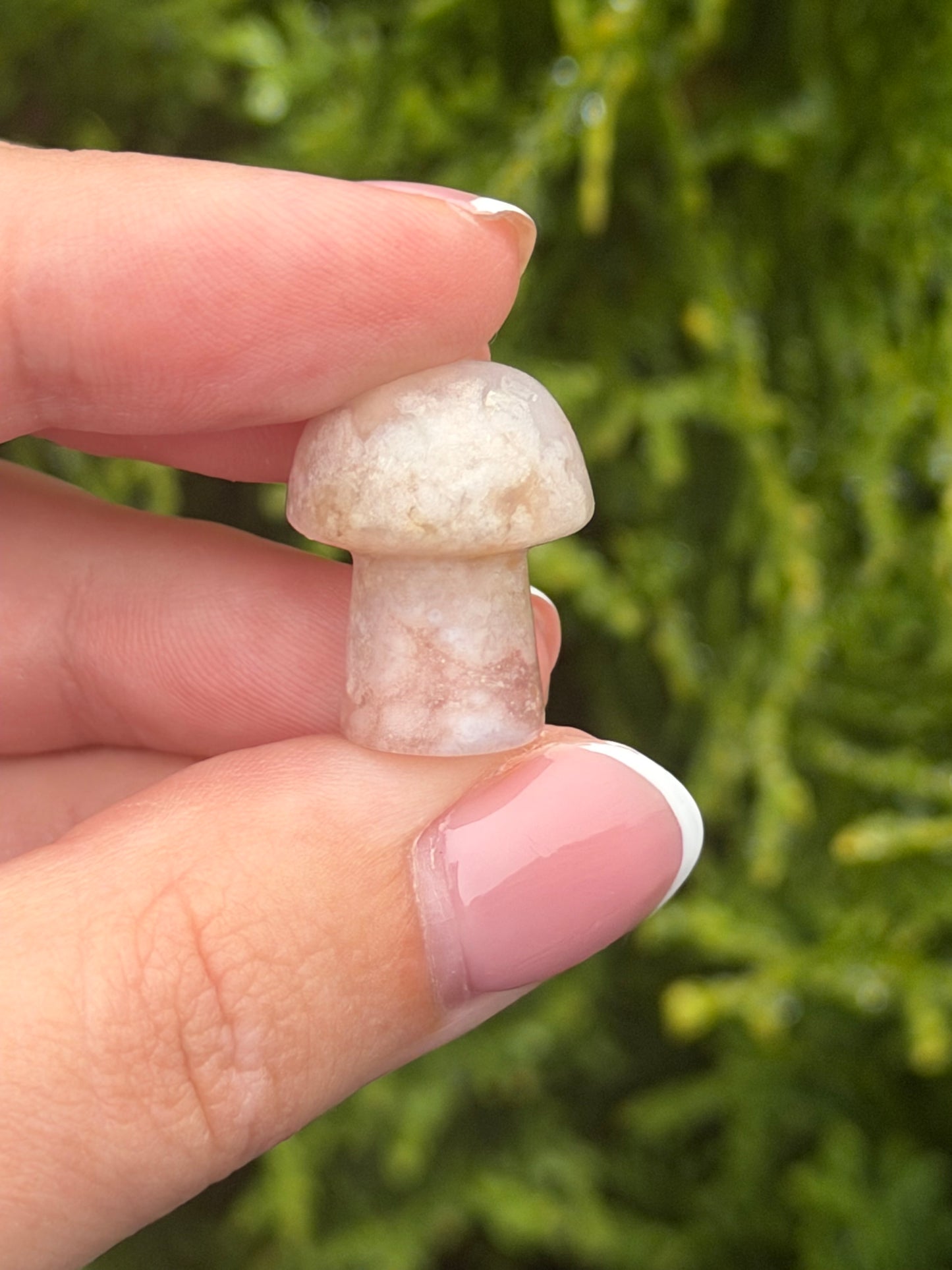 Mini Flower Agate Mushroom