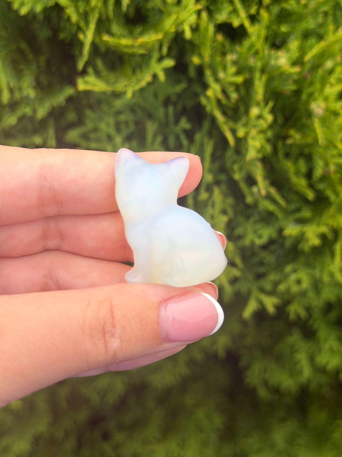 Opalite Cat