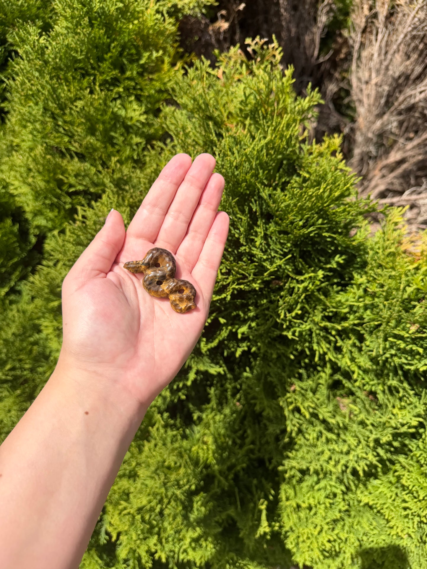 Tiger’s Eye Snake
