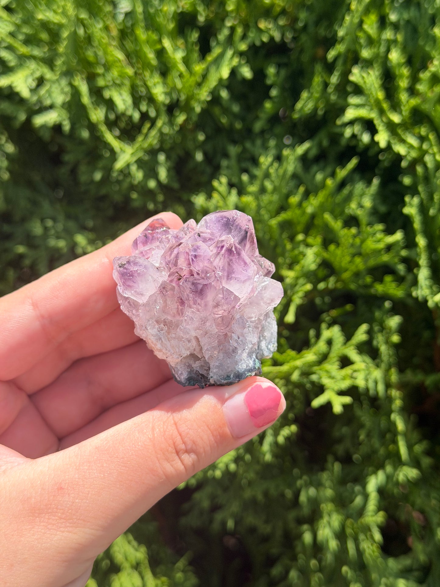 Raw Amethyst Cluster