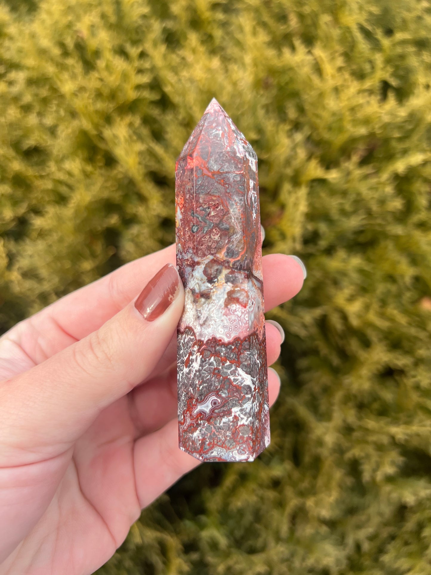 Mexico Lace Agate Point