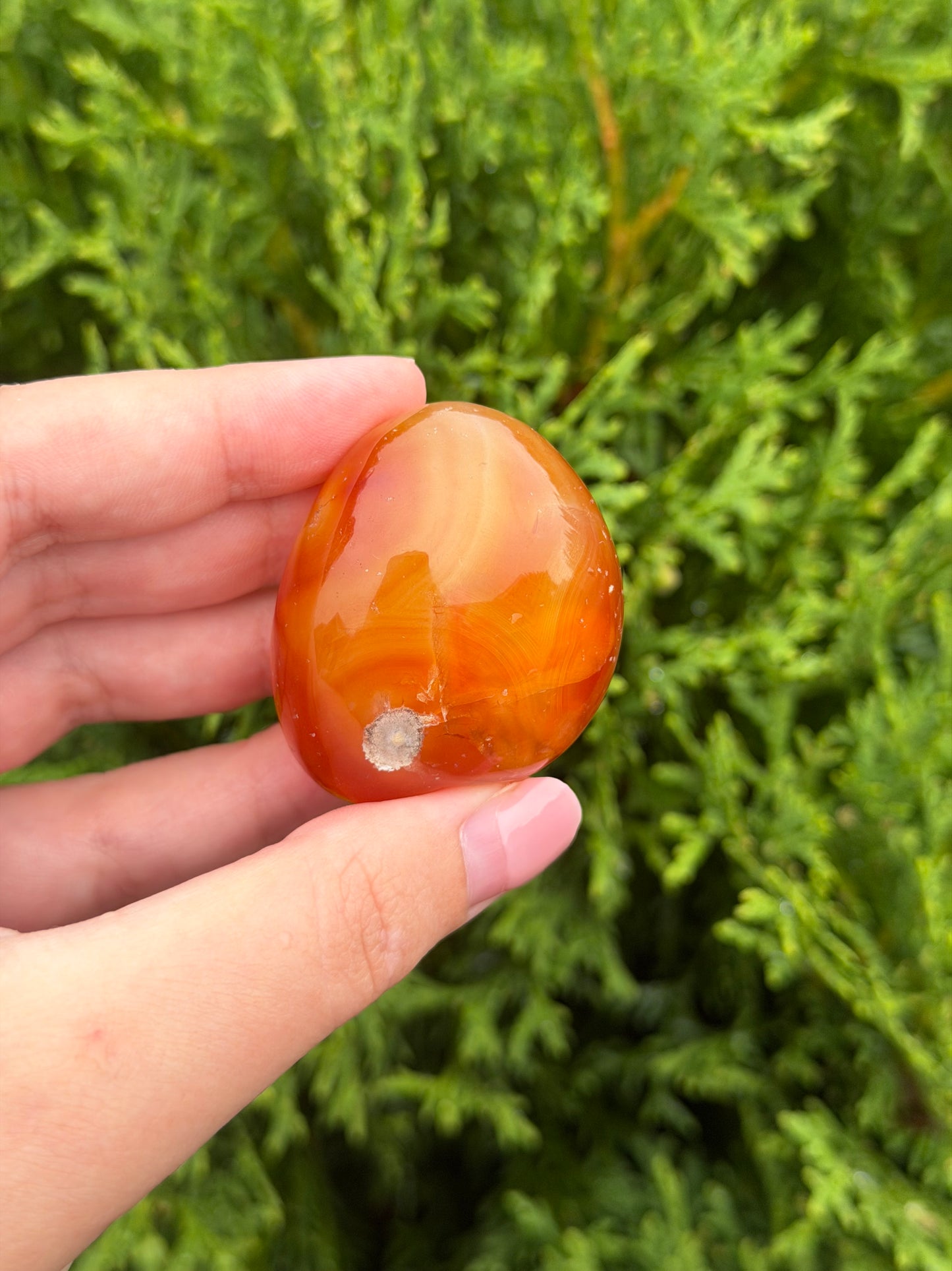 Large Carnelian Stones
