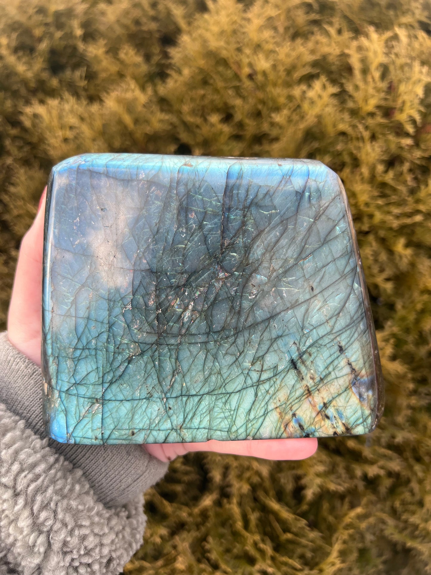 Large Labradorite Freeform