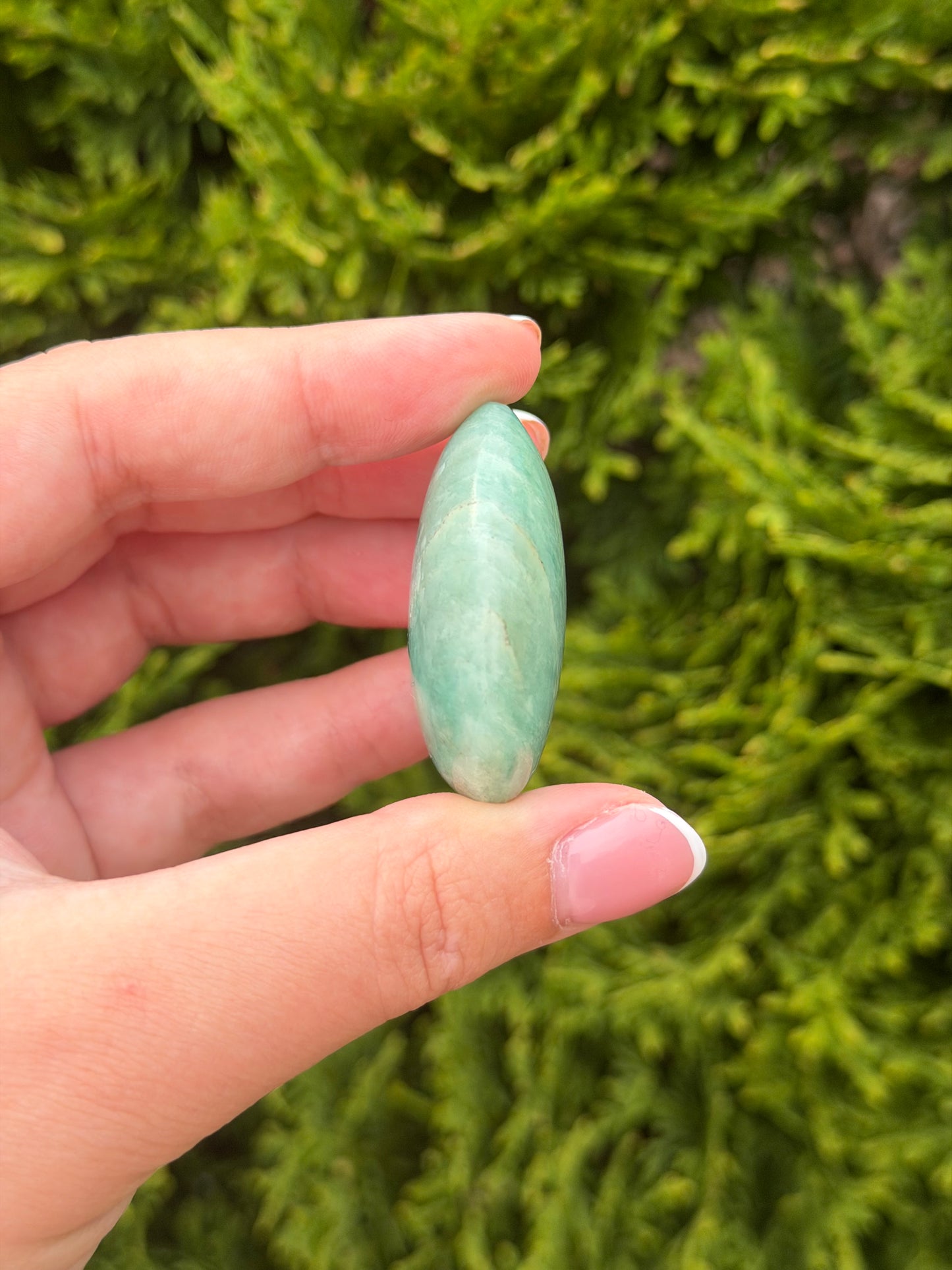 Amazonite Palm Stone
