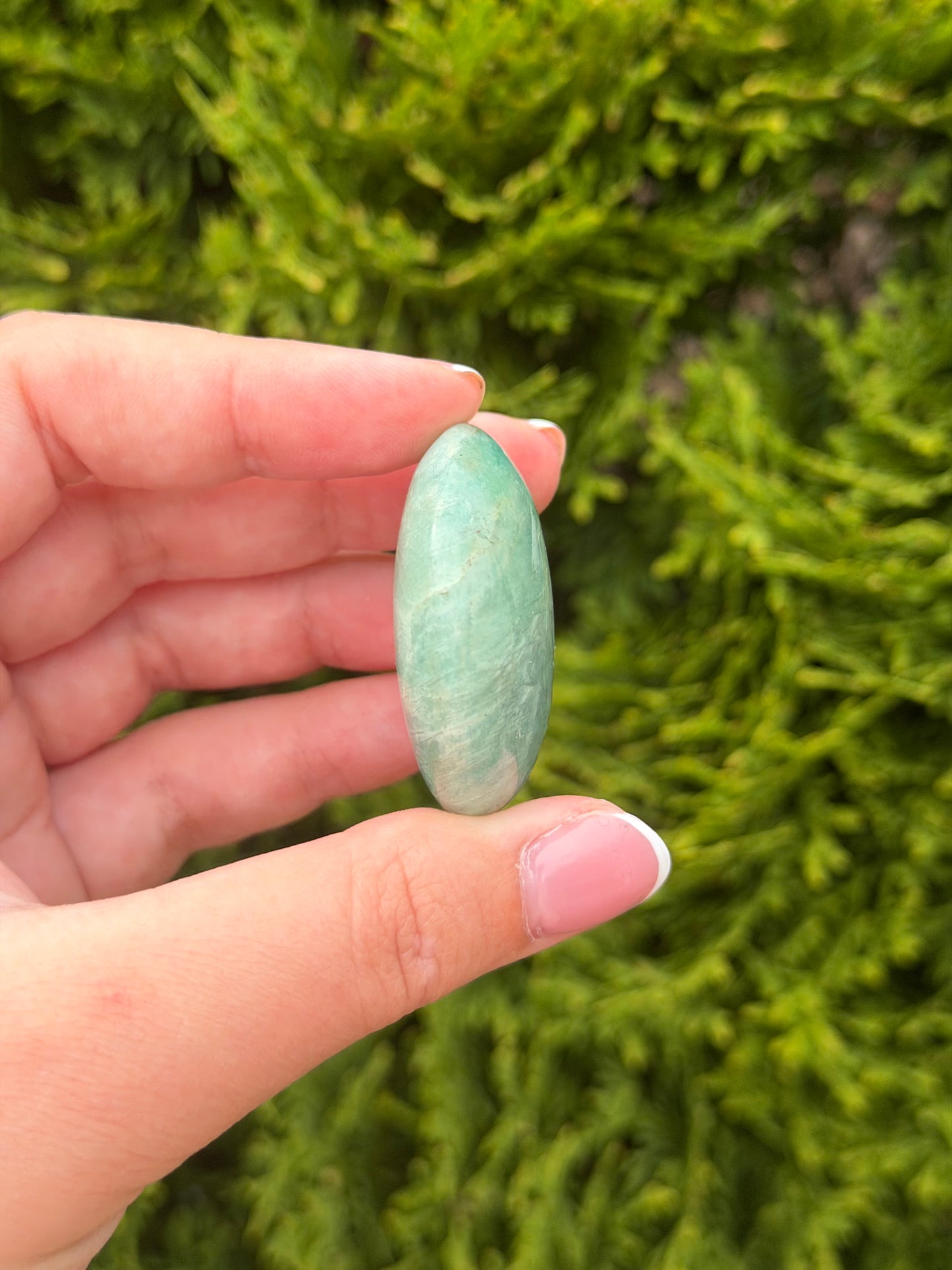 Amazonite Palm Stone