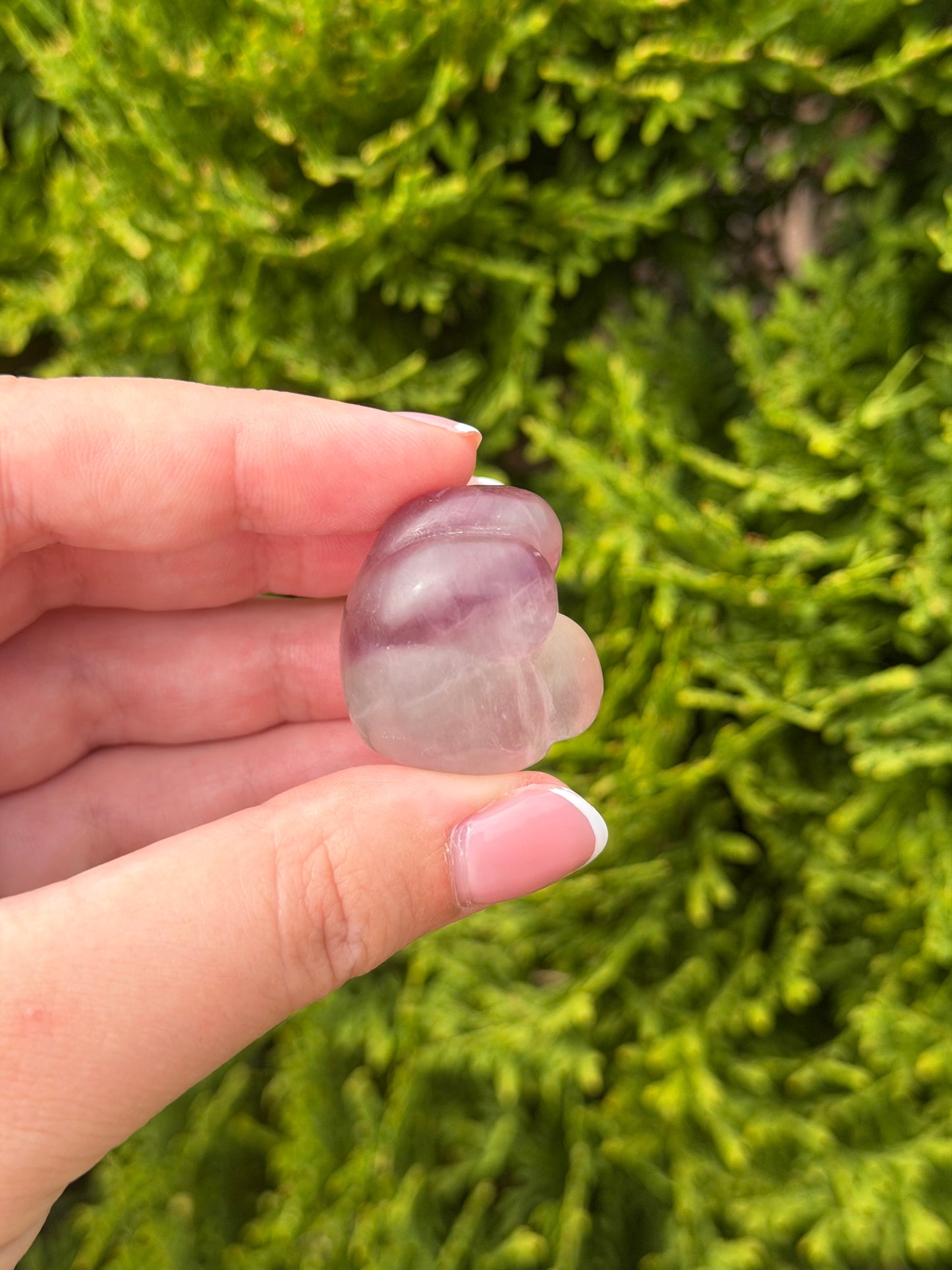 Fluorite Cat Paw 1