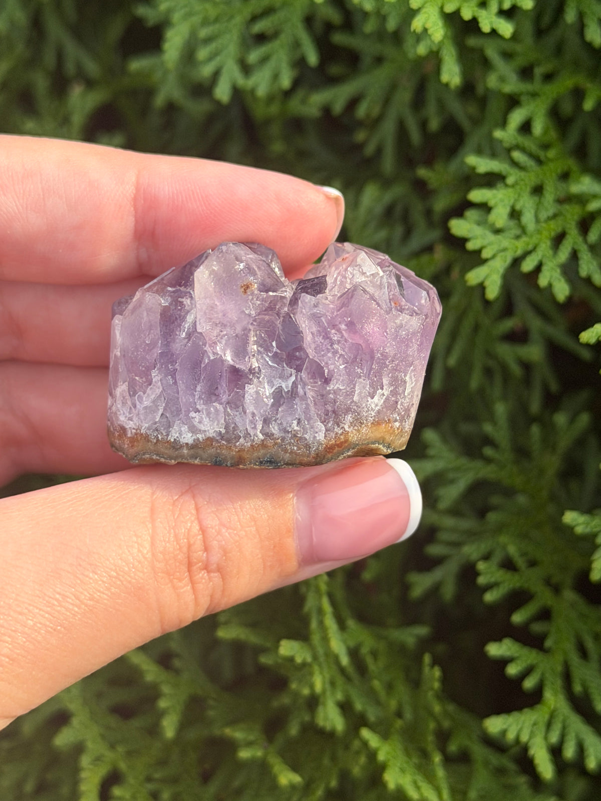Mini Amethyst Cluster