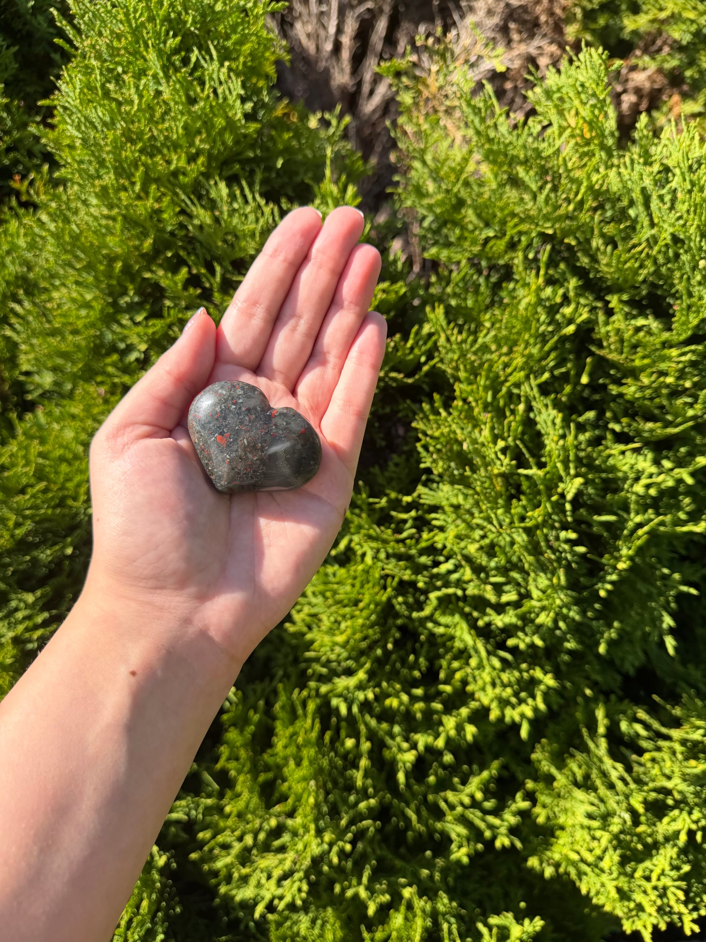 African Bloodstone Heart
