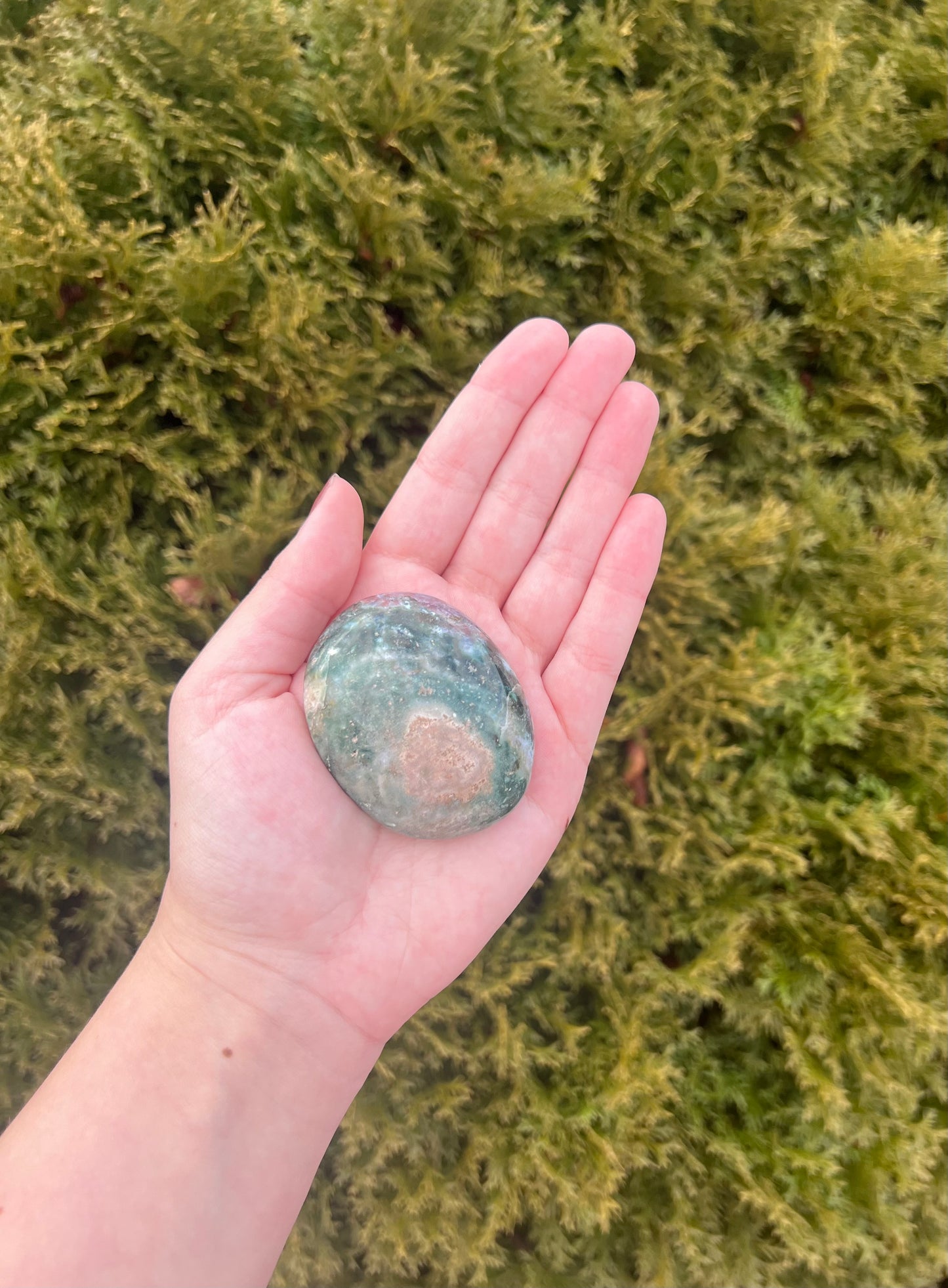 Ocean Jasper Palm Stone