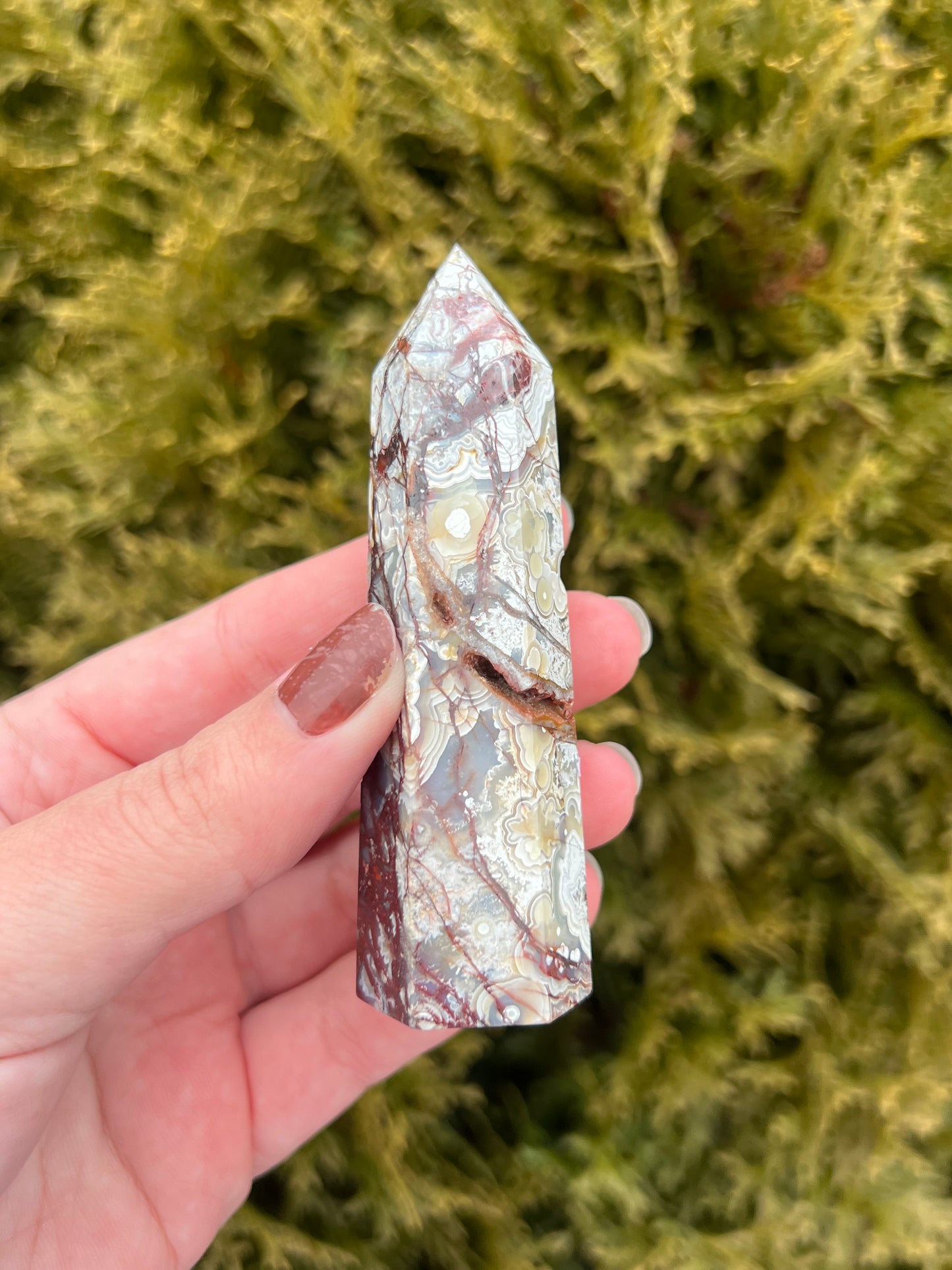 Mexico Lace Agate Point