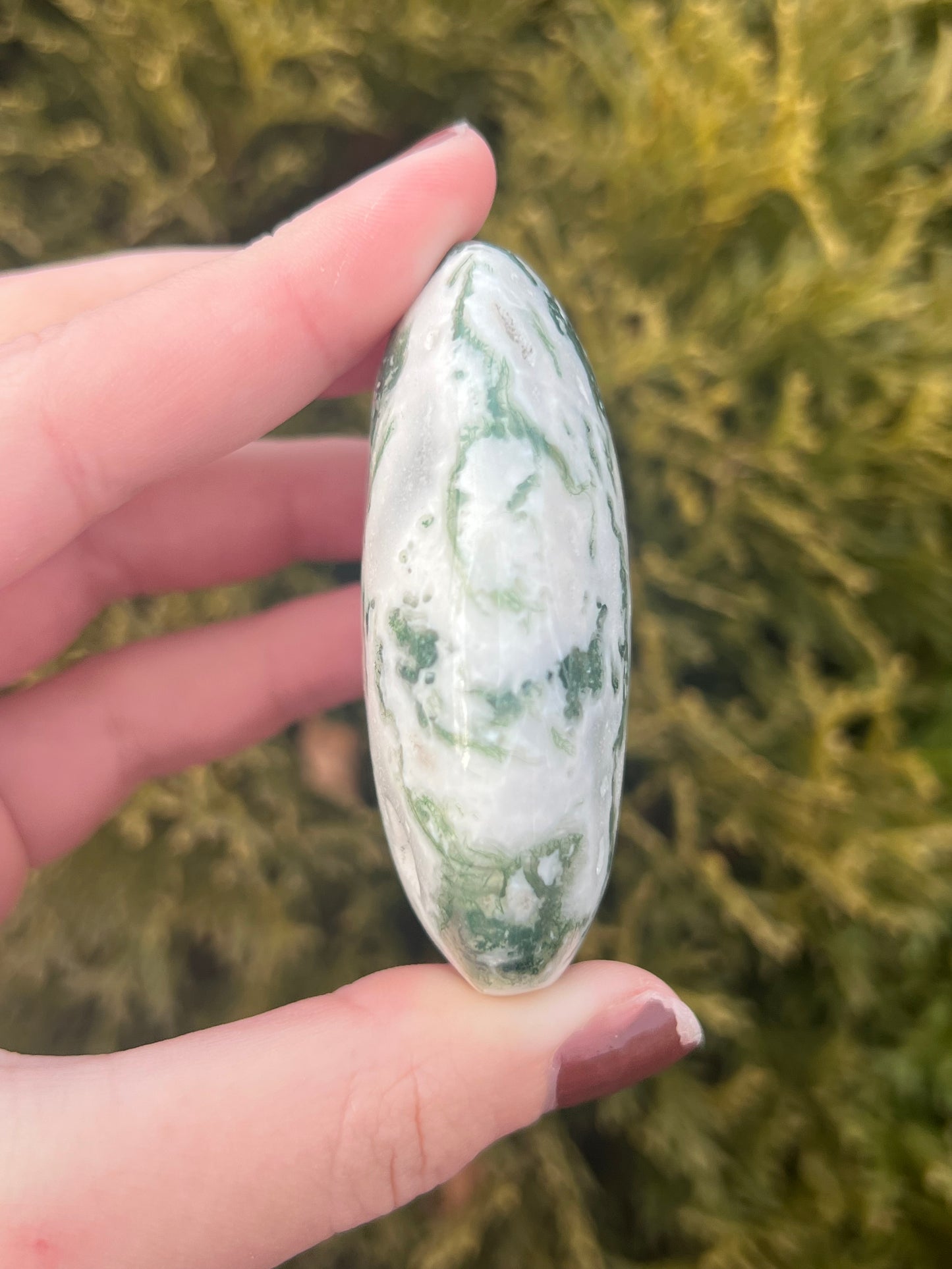 Druzy Moss Agate Palm Stone