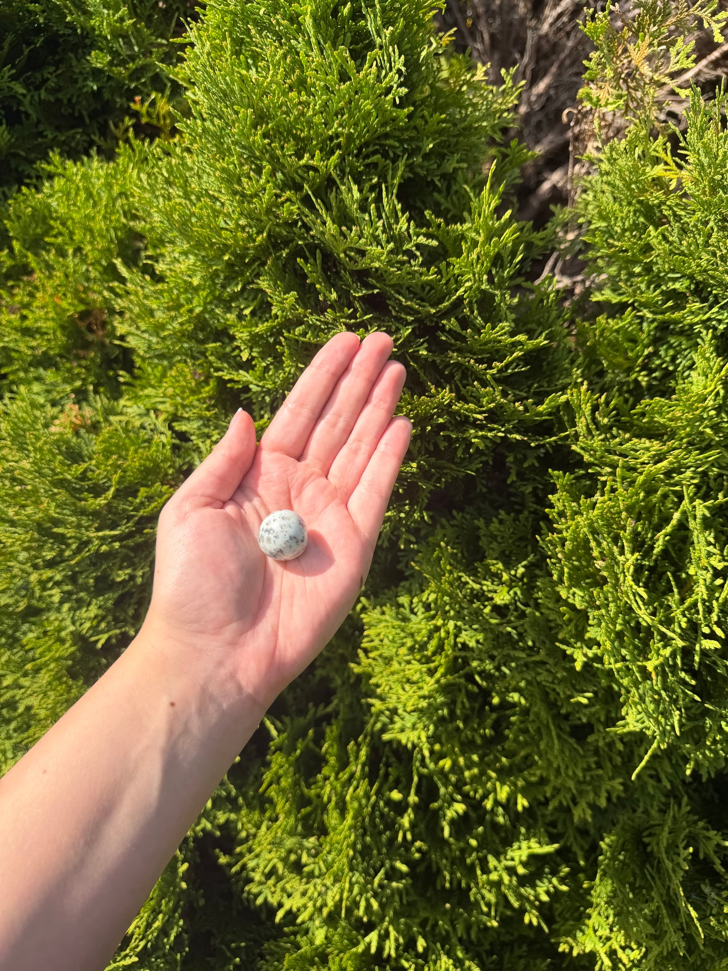 Kiwi Jasper Mini Sphere