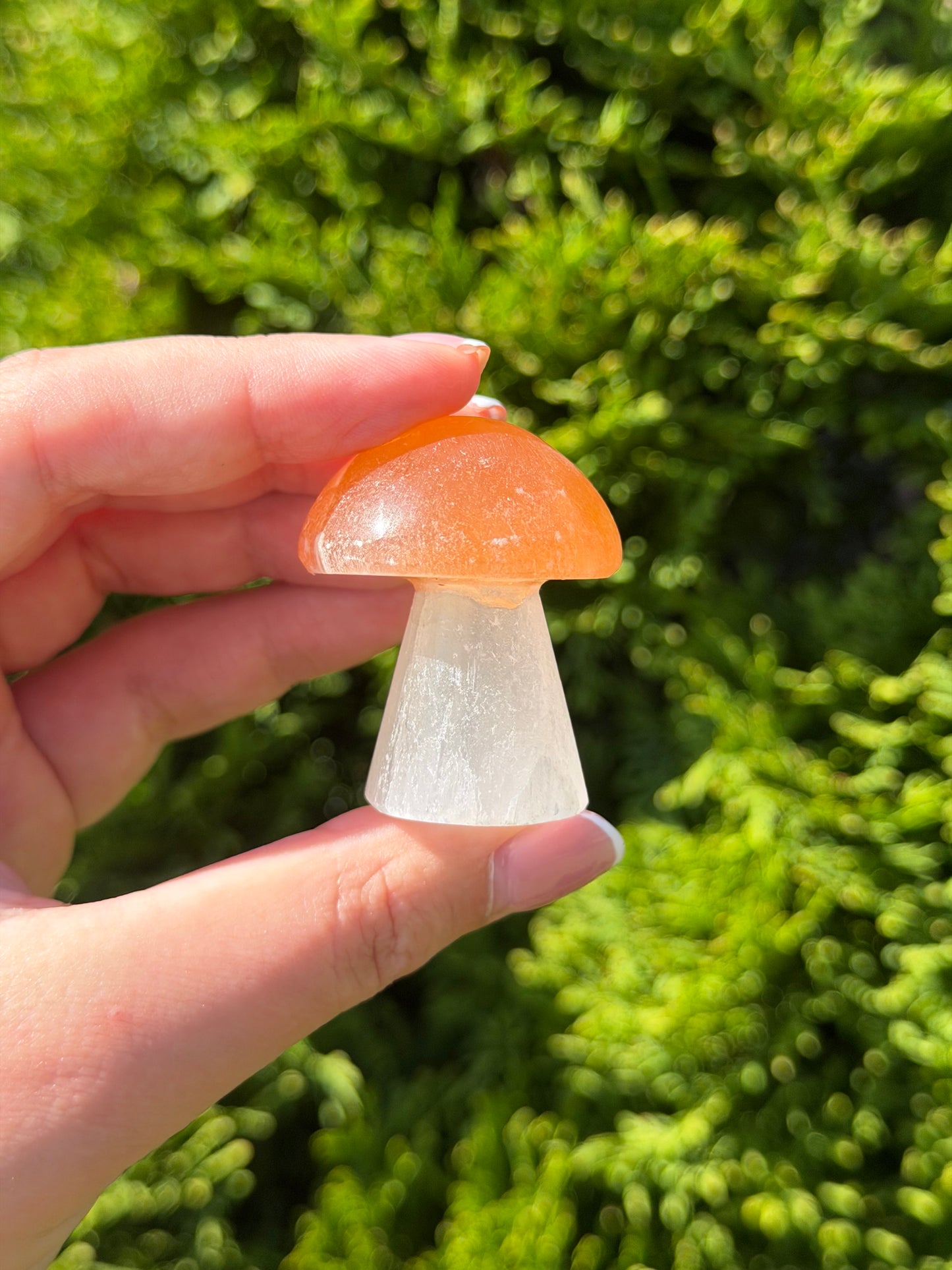 Small Selenite Mushroom
