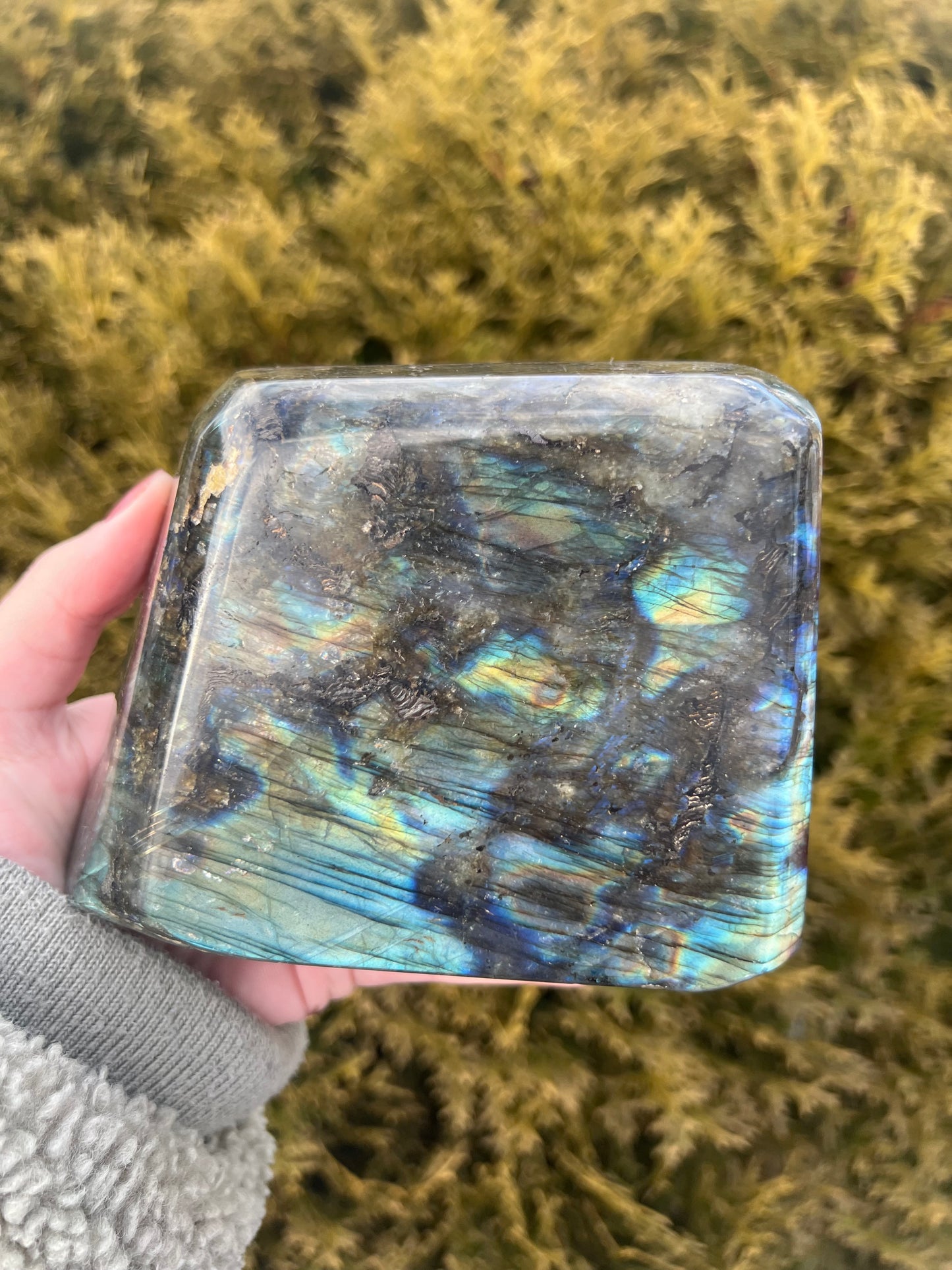 Large Labradorite Freeform