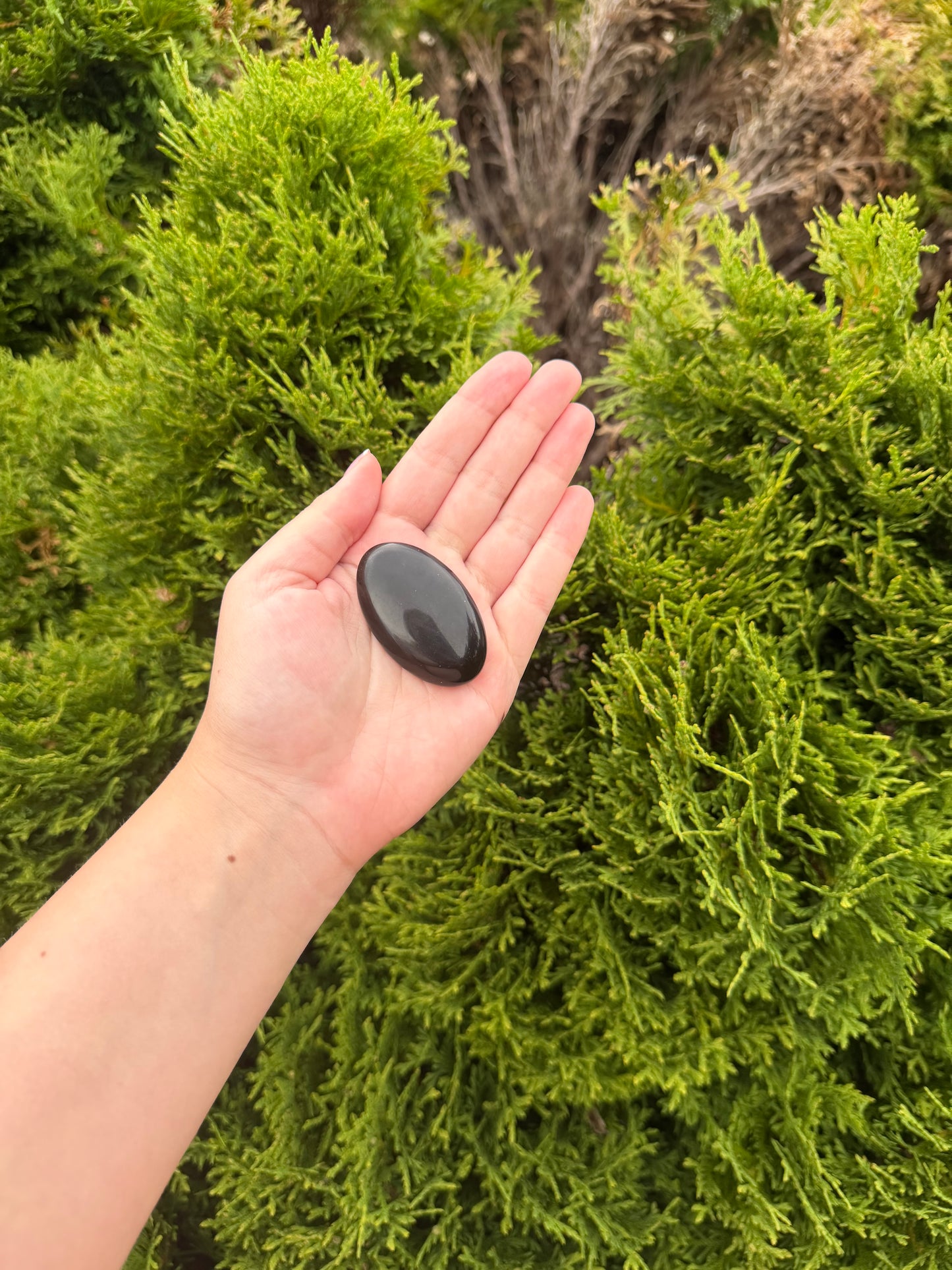 Obsidian Palm Stone