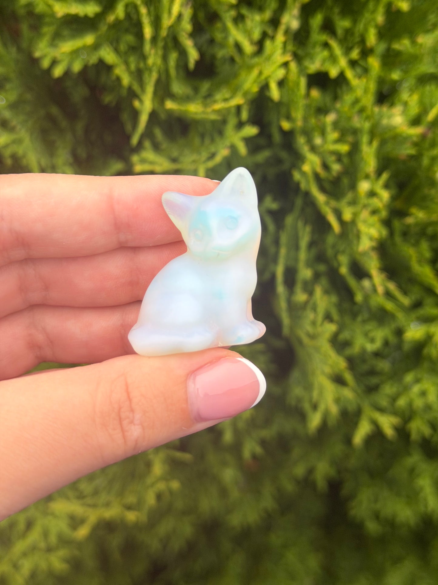 Opalite Cat