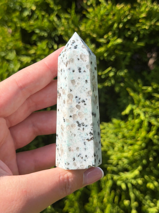 Kiwi Jasper Point