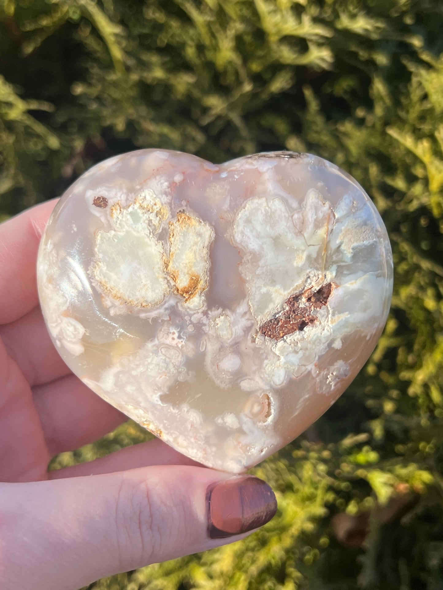 Flower Agate Heart #1