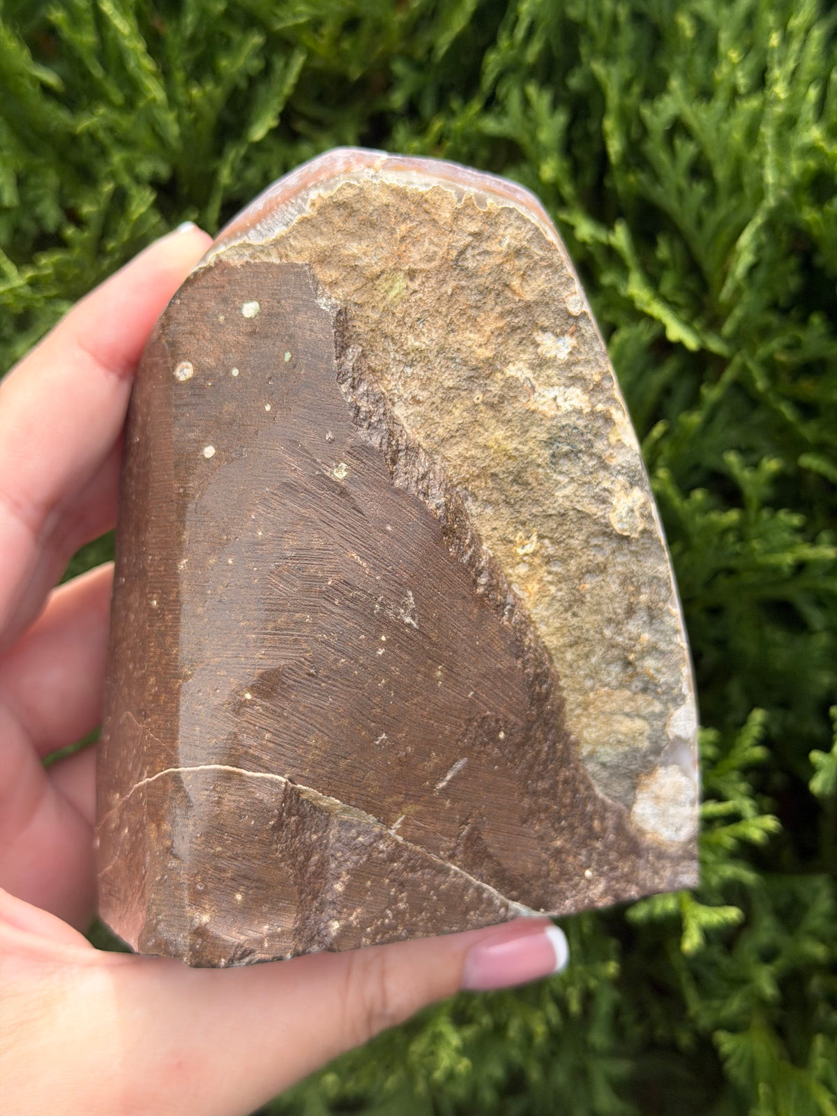 Rainbow Amethyst Cut Base