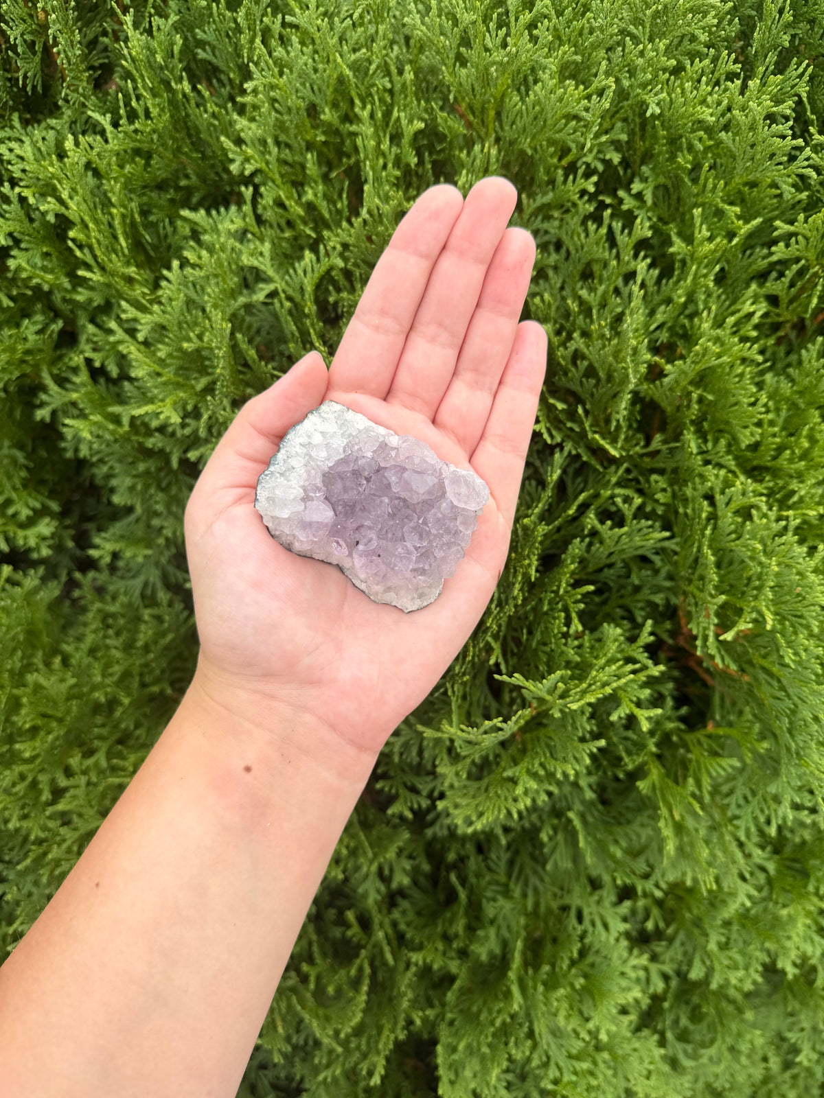 Raw Amethyst Crystal
