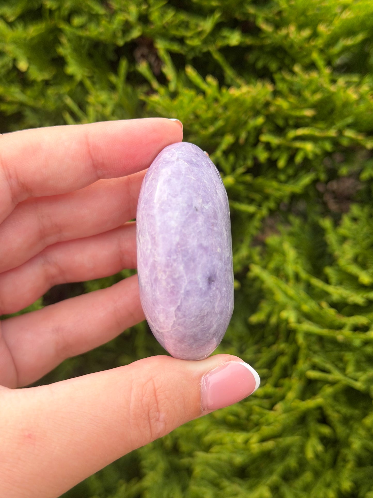 Lepidolite Palm Stone