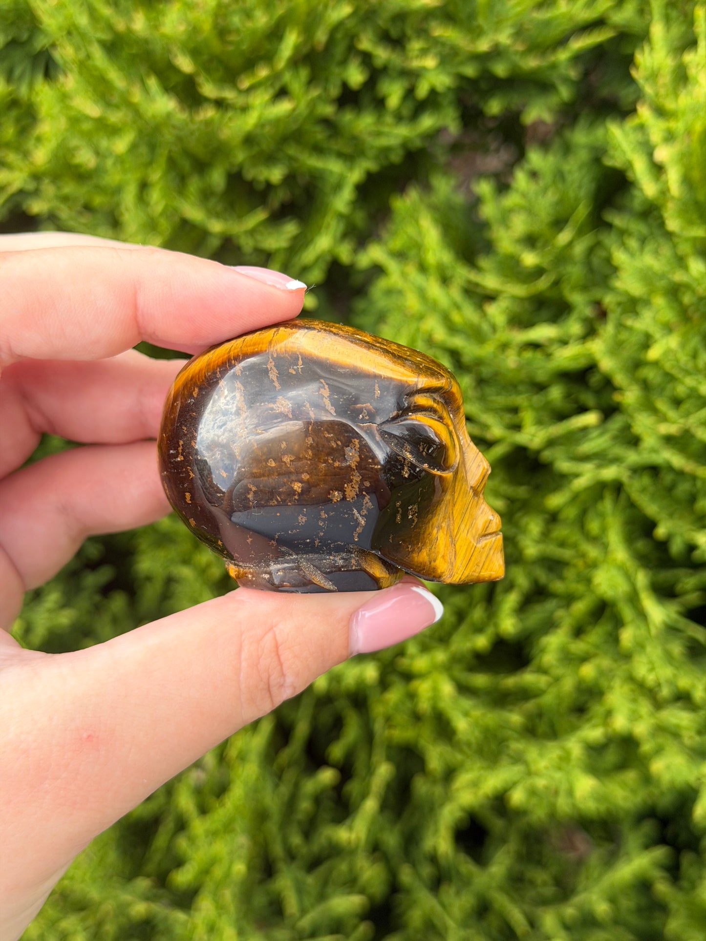 Tiger’s Eye Alien Head