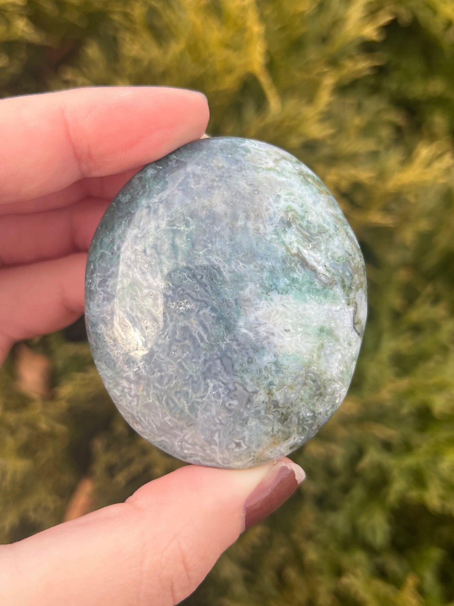 Moss Agate Palm Stone