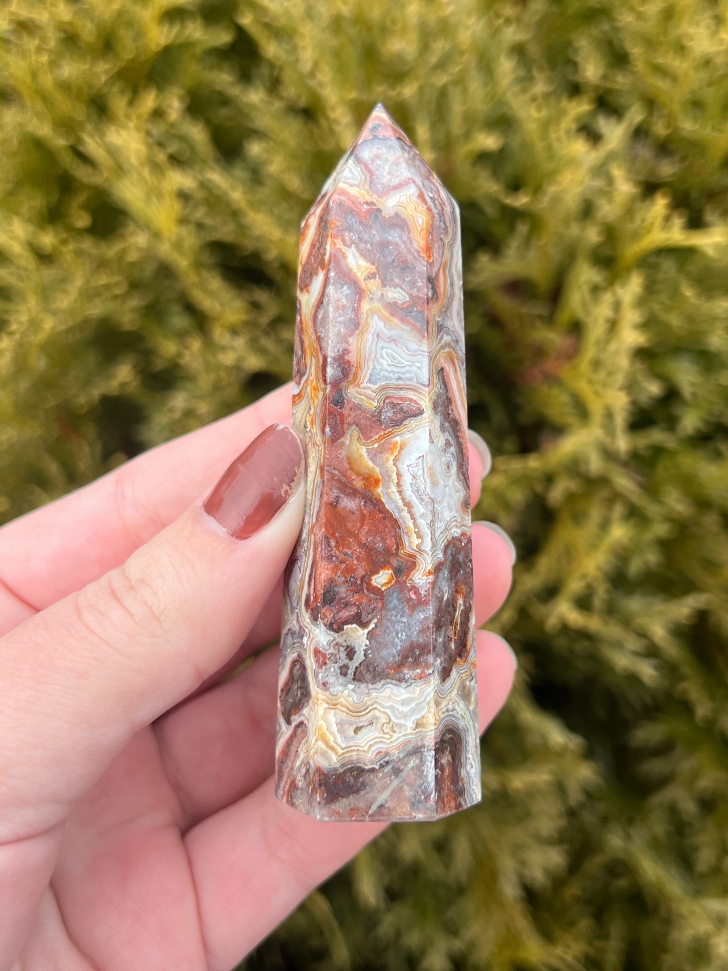 Mexico Lace Agate Point