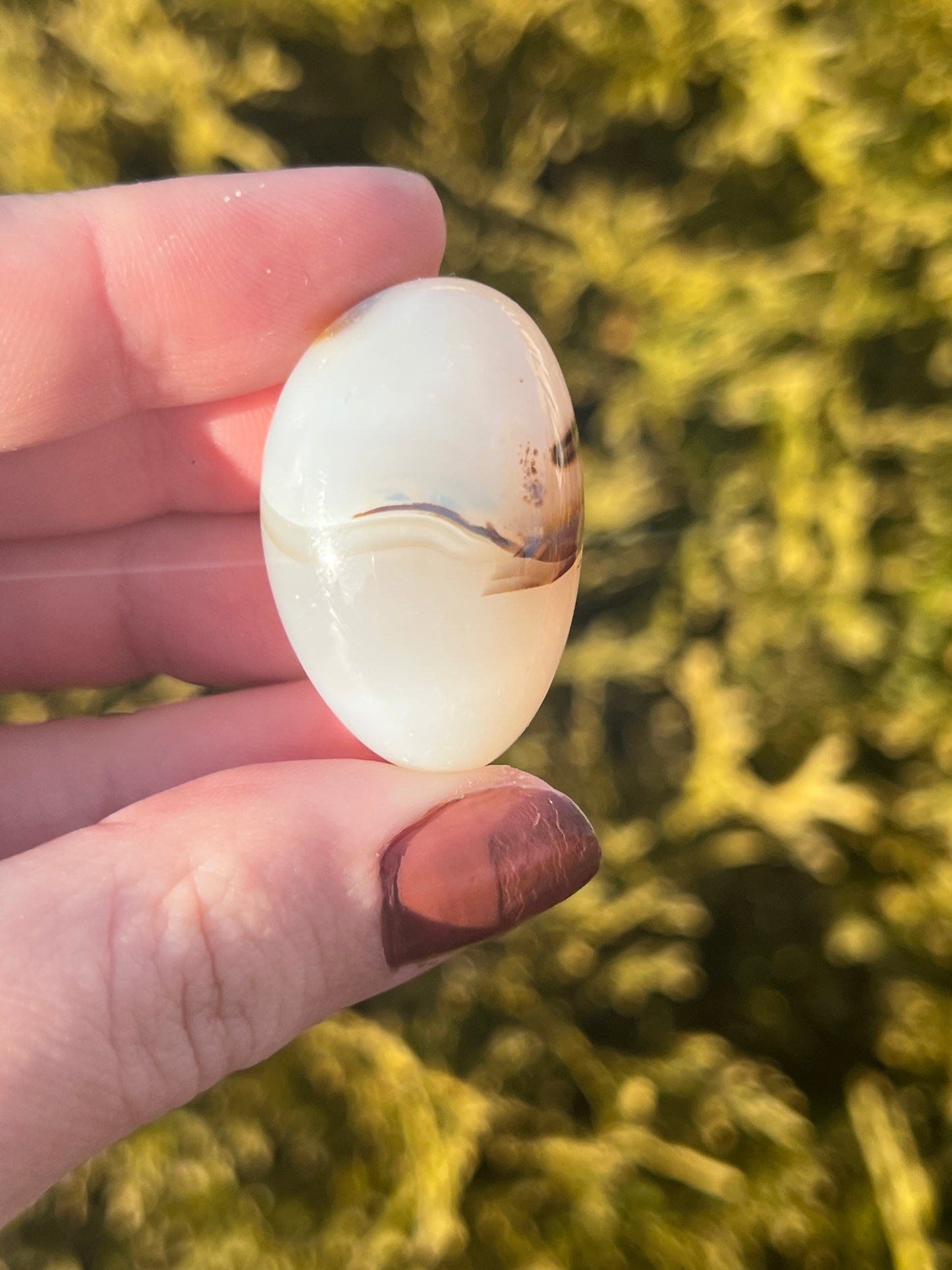 Dendritic Agate Tumbled Stone