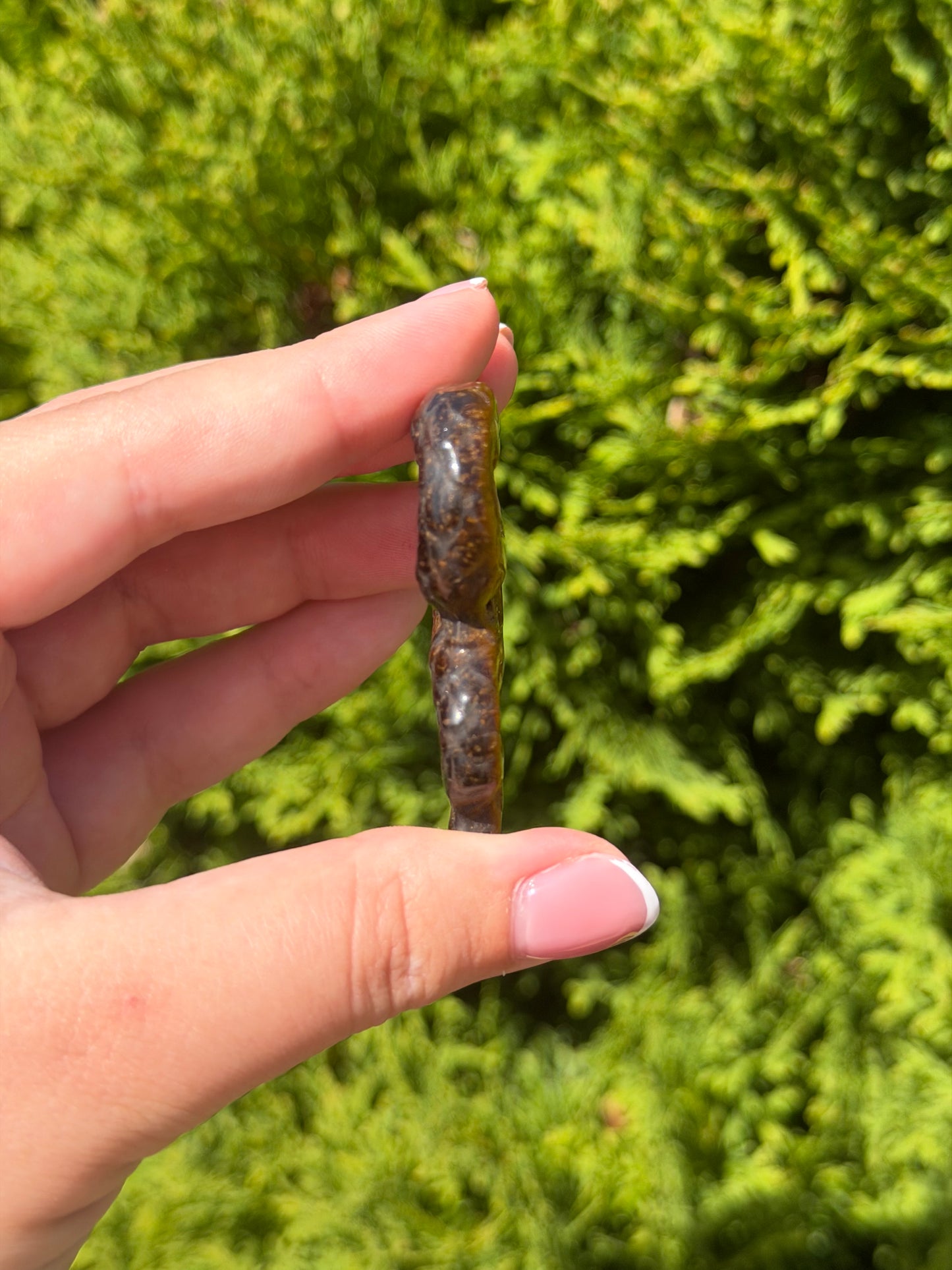 Tiger’s Eye Snake