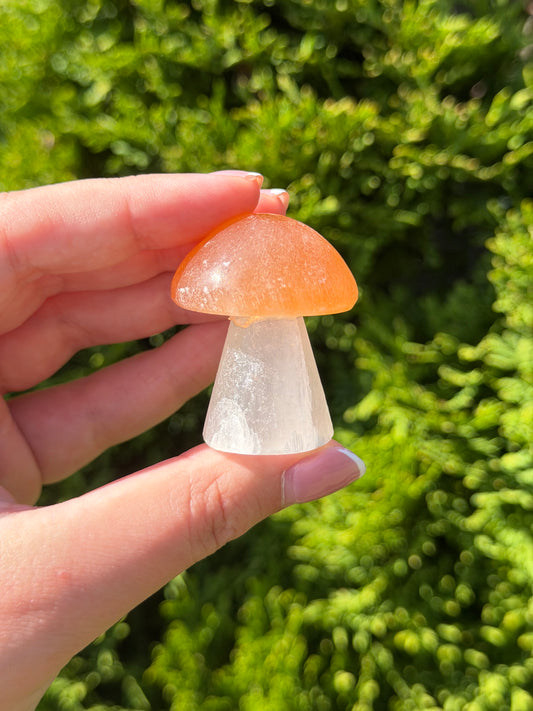 Small Selenite Mushroom