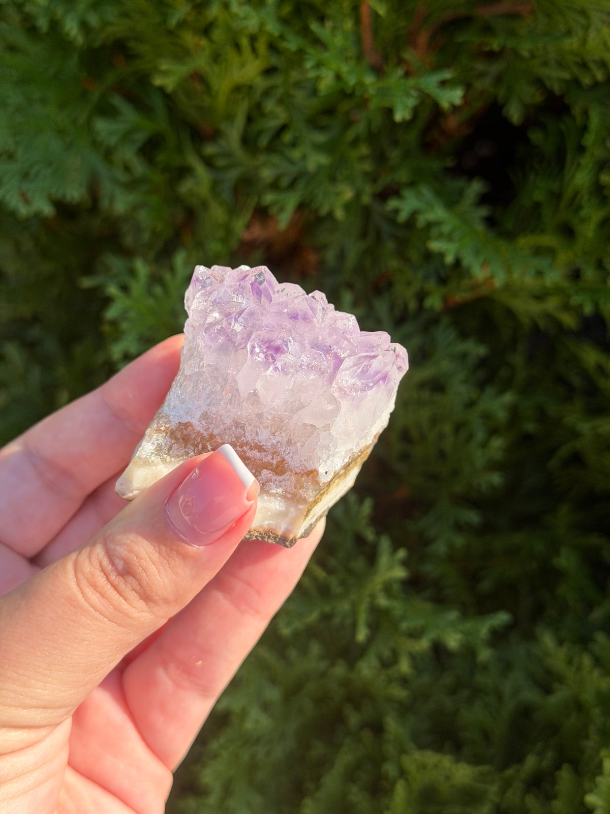 Raw Amethyst Cluster