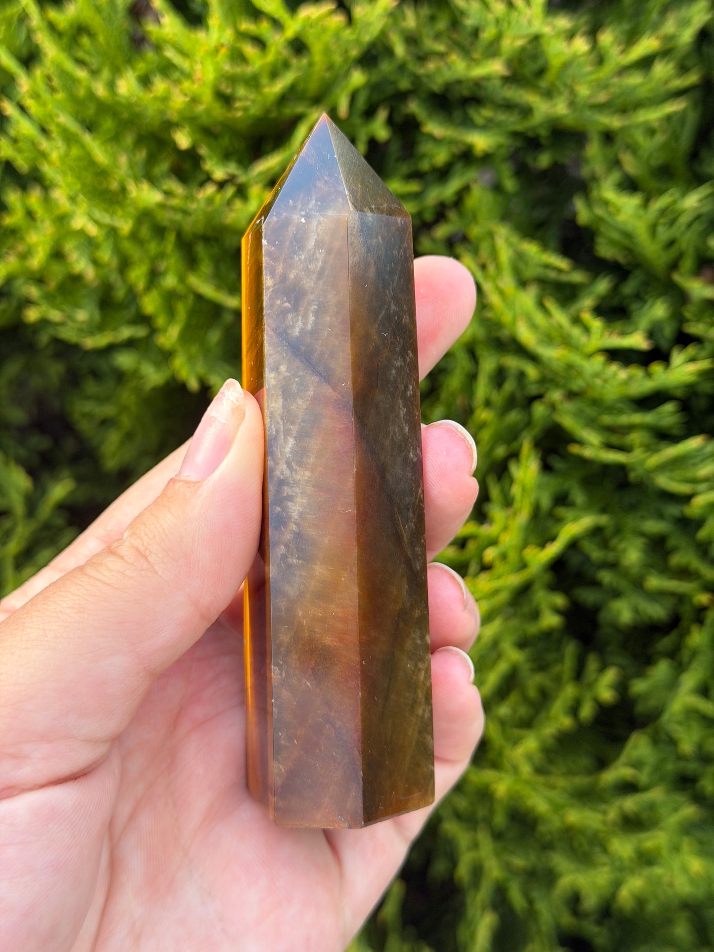 Tiger’s Eye Point 3