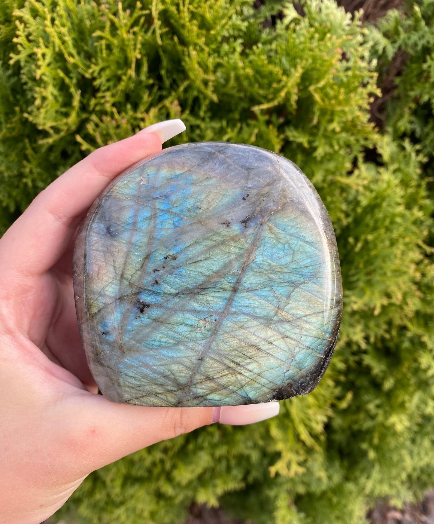 Labradorite Freeform