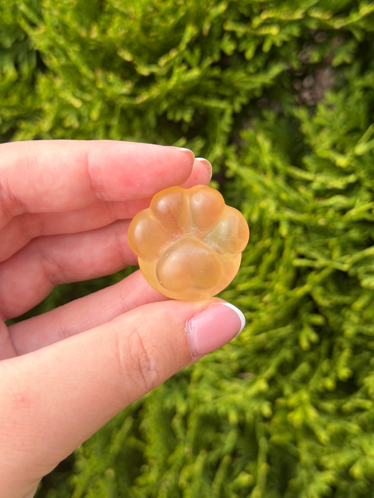 Yellow Fluorite Cat Paw 3