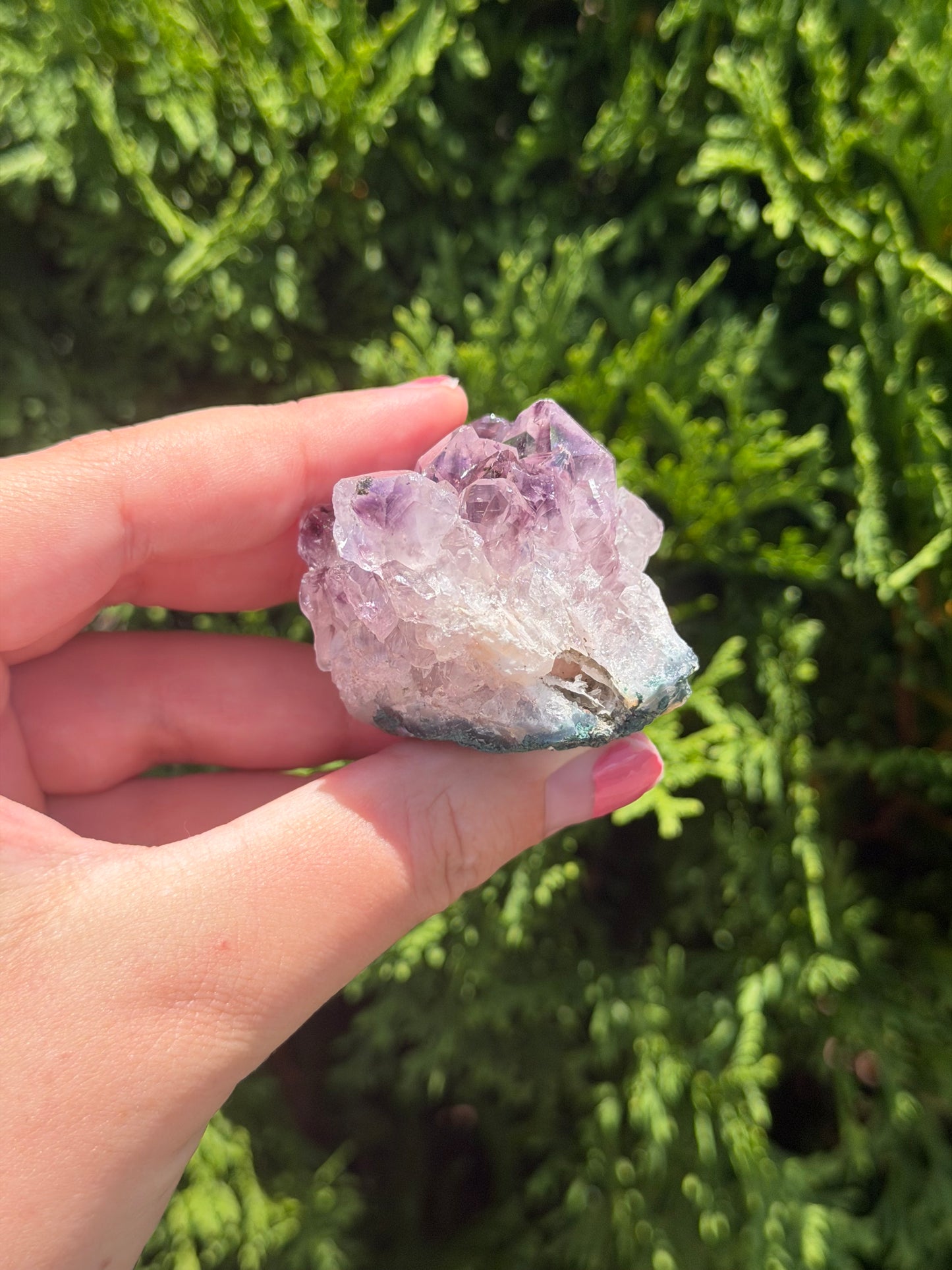 Raw Amethyst Cluster