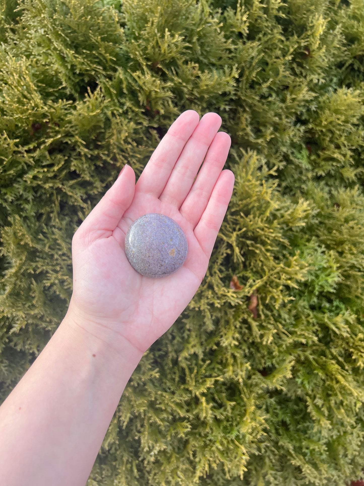 Small Ocean Jasper Palm Stone