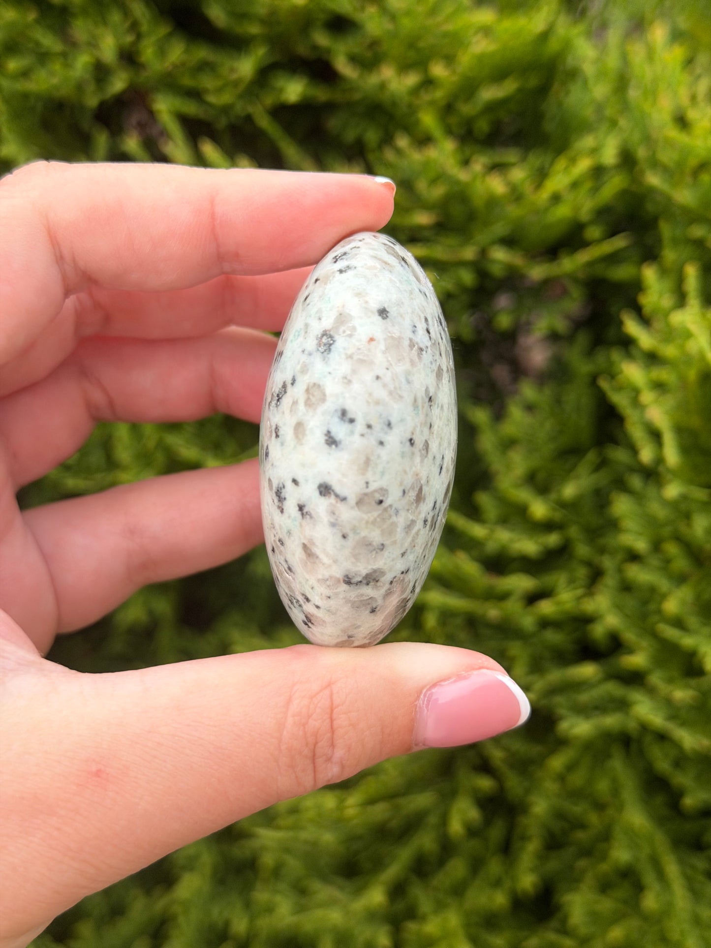 Kiwi Jasper Palm Stone