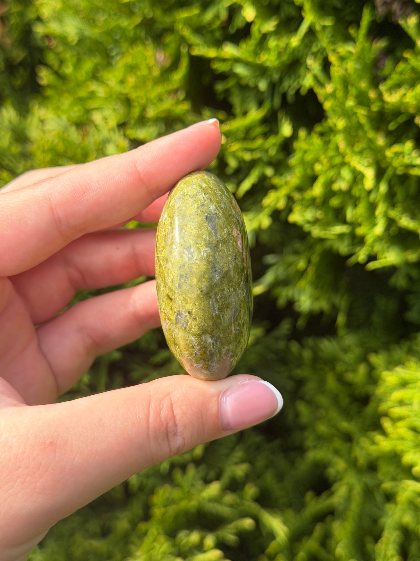 Unakite Palm Stone