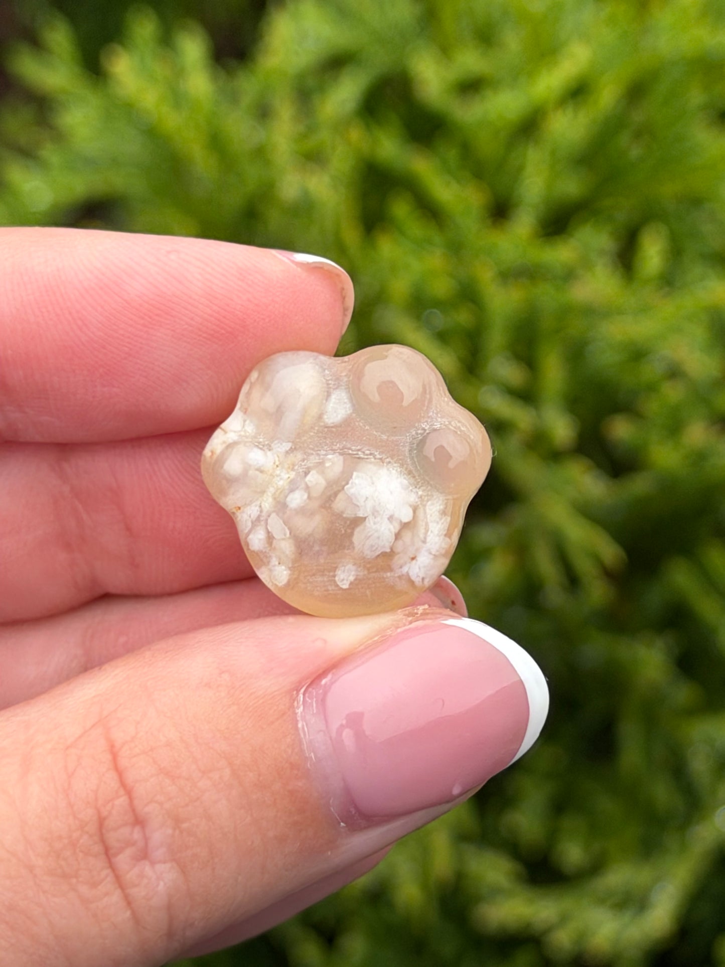 Flower Agate Cat Paw