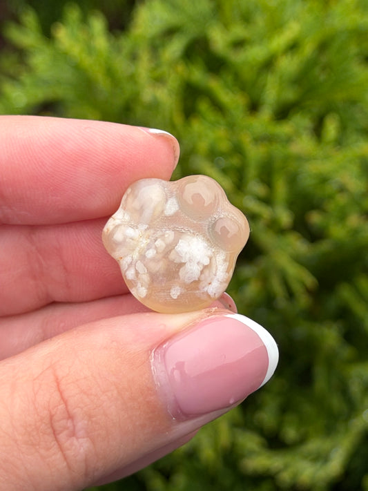 Flower Agate Cat Paw