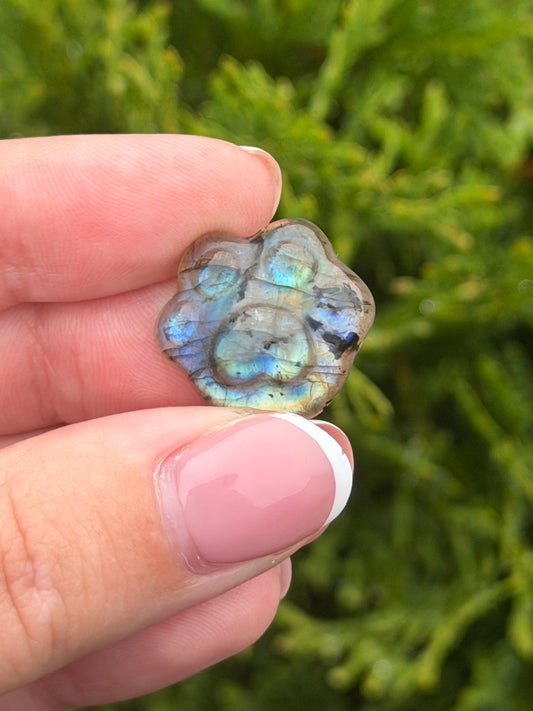 Mini Labradorite Paw