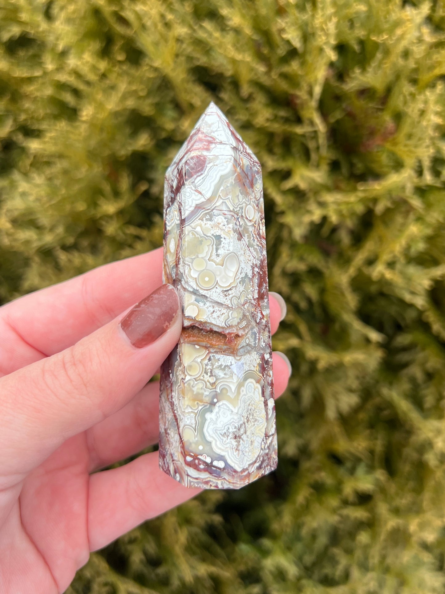 Mexico Lace Agate Point
