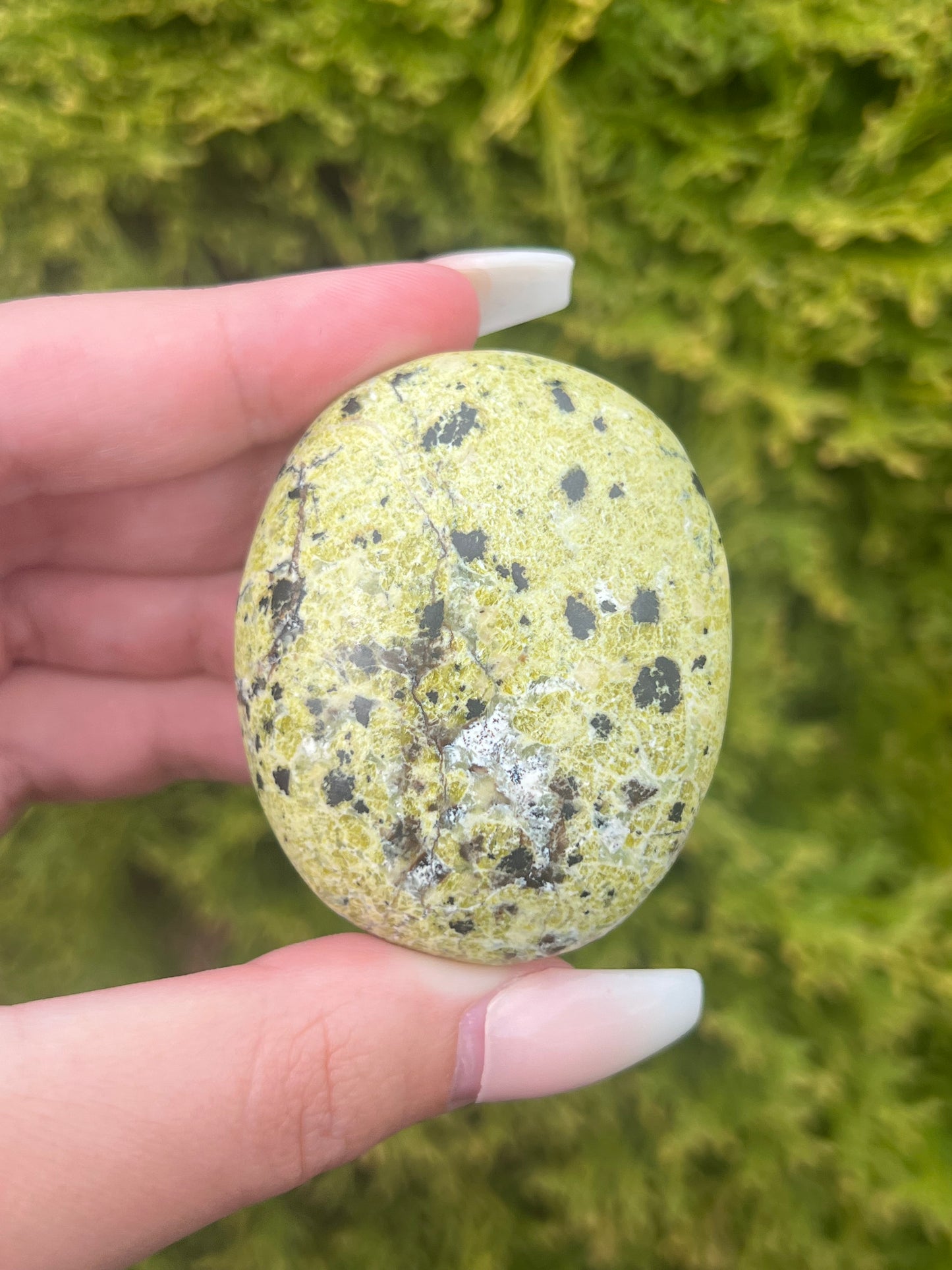 Serpentine Jasper Palm Stone