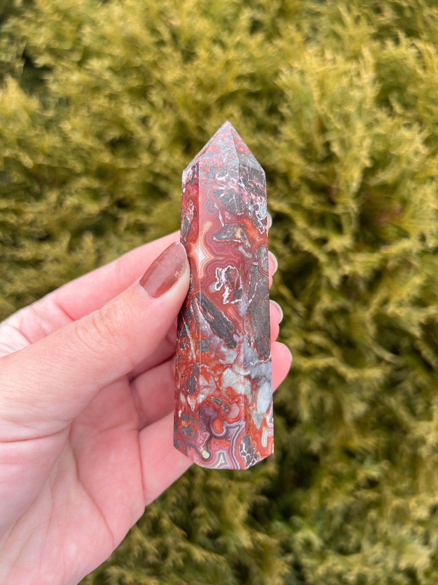 Mexico Lace Agate Point
