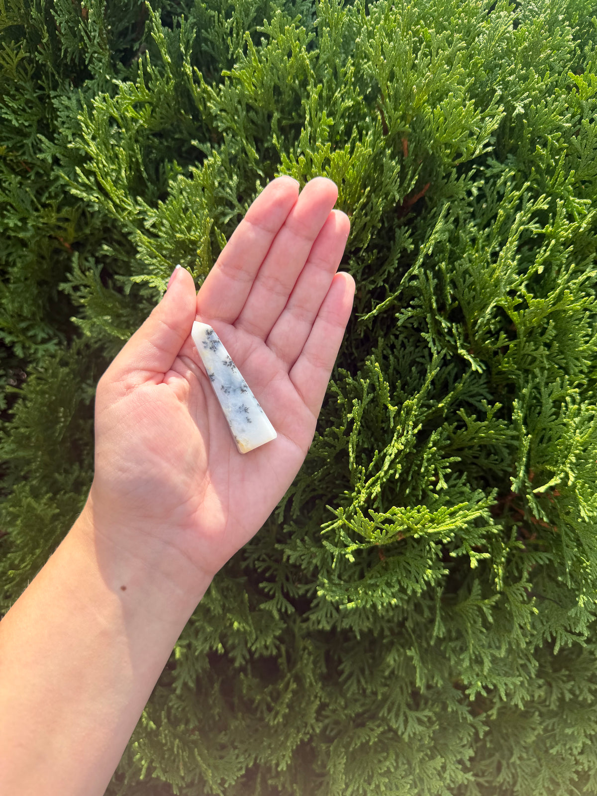 Mini Dendritic Agate Obelisk