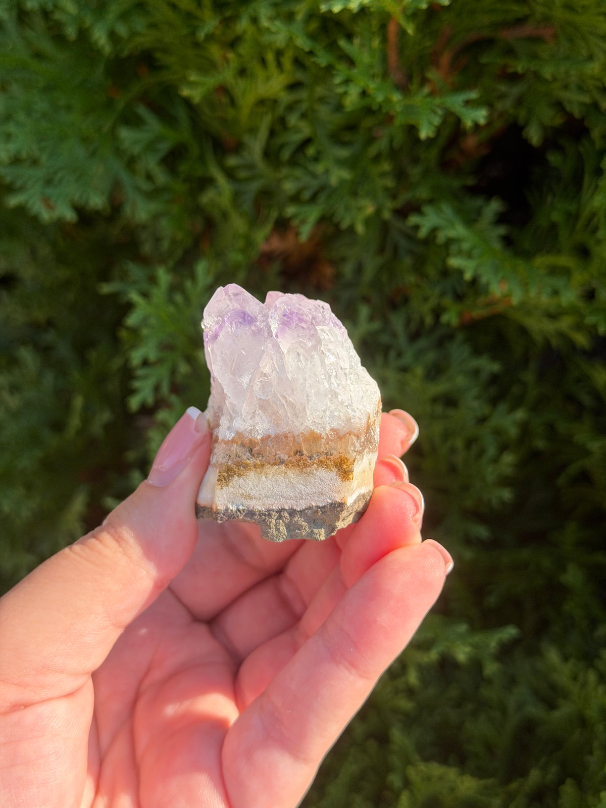 Raw Amethyst Cluster
